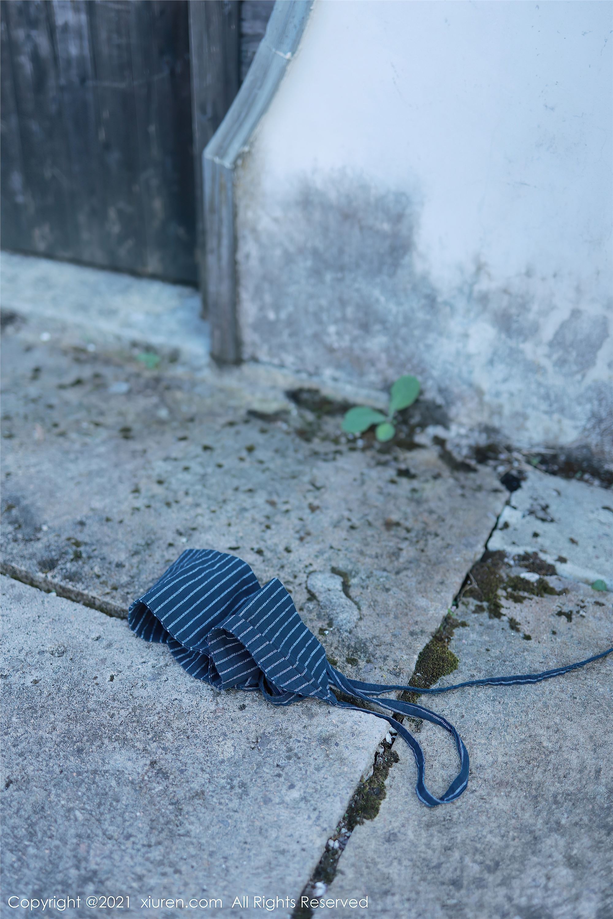 Xiuren秀人网 2021.10.08 NO.4032 李雅柔182CM